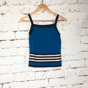 Vintage blue striped knit crop tank top